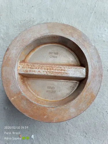 Válvula de retenção DN6"