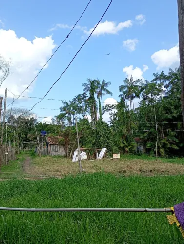 Terreno