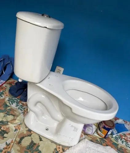 Vaso sanitário tudo ok