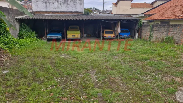 Terreno em Vila Albertina