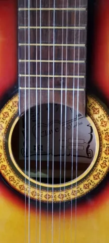 Viola caipira 