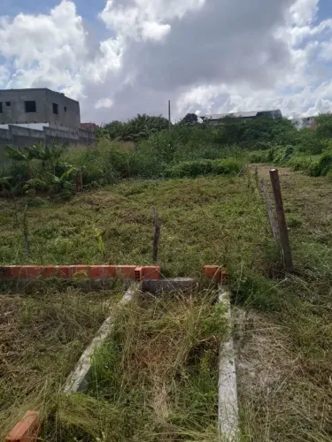 Vende-se terreno próximo ao viveiros 14x7