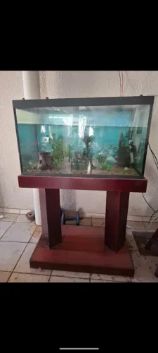 Aquário com movel 200L