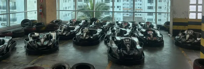 Lote 12 Karts a Gasolina ? Motor 6.5hp ? Chassi Metalmoro