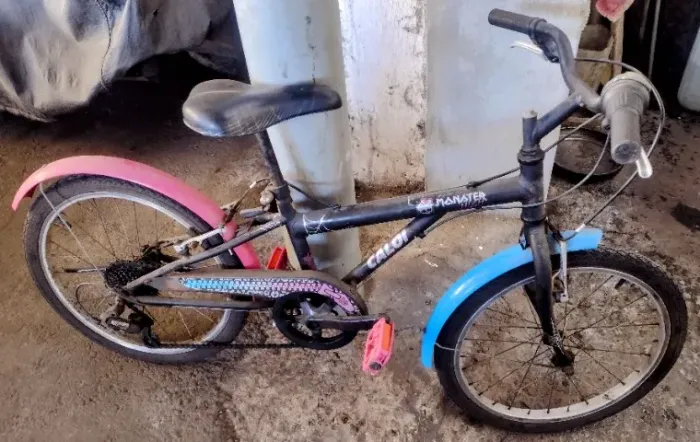 Bicicleta Caloi Monster High Aro 20?