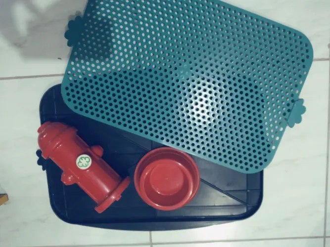Sanitário para cachorro