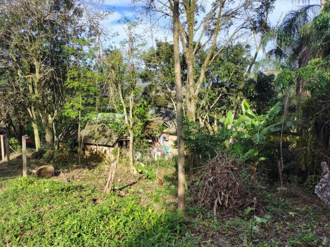 Terreno a venda sul da ilha