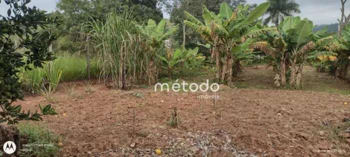 Terreno à venda, 1000 m² por R$ 210.000,00 - Chacara Santa Branca - Santa Branca/SP
