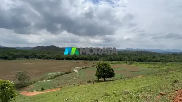 FAZENDA À VENDA - 67 HECTARES - REGIÃO DE TIMÓTEO (MG)