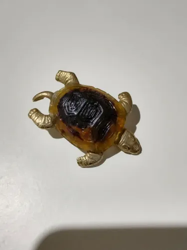 Broche Tartaruga 