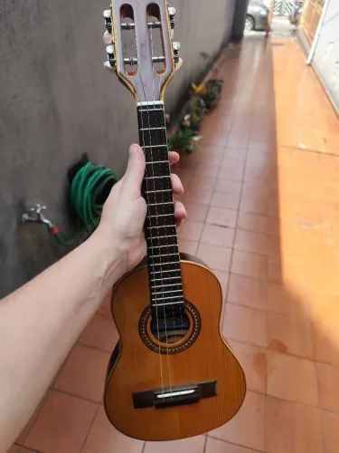 Rozini Paulistinha pronto pra tocar!