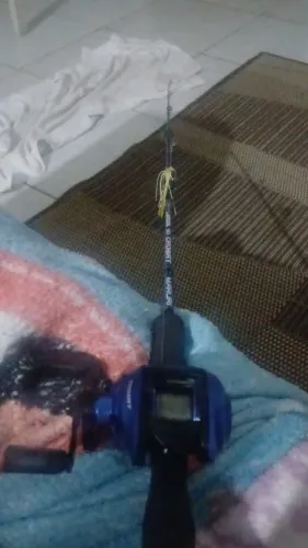 Vara de pesca