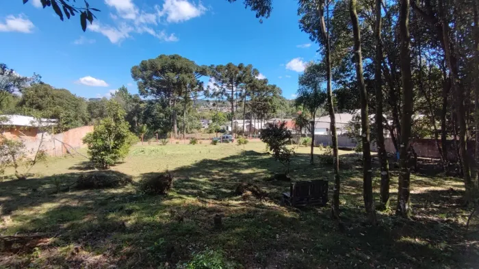 Terreno em Porto Amazonas 