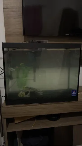 Vendo aquario de 50L