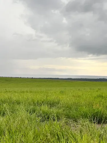 Fazenda a venda, no Tocantins 8 anos para pagar!