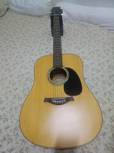 Violão Eletroacústico Tagima Woodstock Tw-25