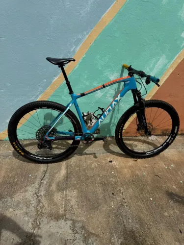 BIKE AUDAX AUGE 40 CARBON