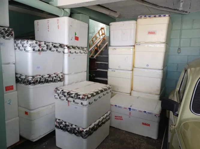 Caixas de isopor limpas A partir de 25