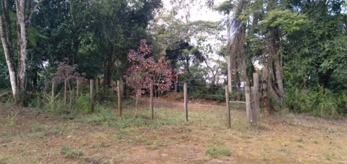 Vendo Fazenda em Barra do Choça Bahia