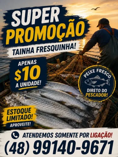 Tainha na Promoção