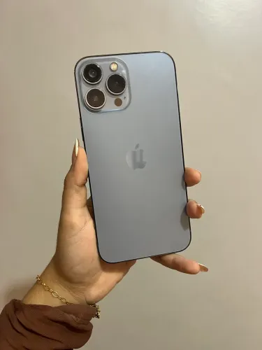 13 pro max