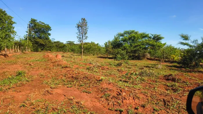 Vende-se esse lote localizado no loteamento Celso Dias em engenheiro navarro mg