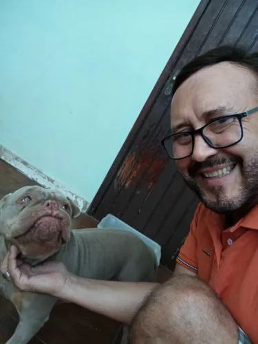 Doa se essa linda cadela American Bull