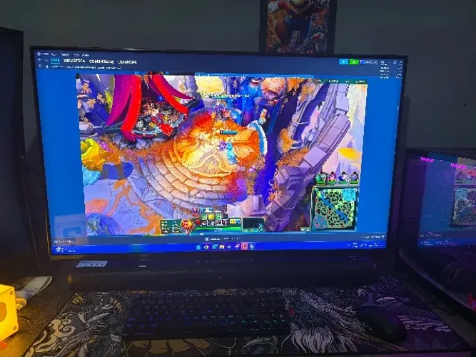 Monitor dell