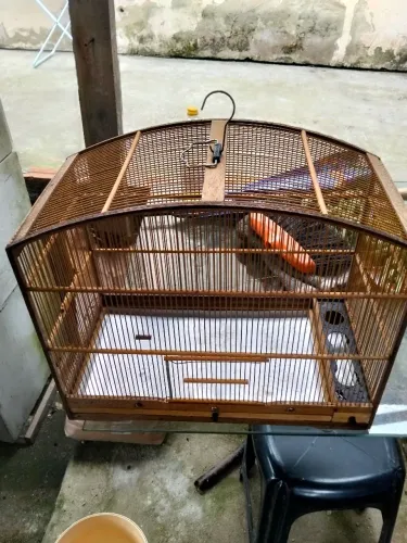 Vendo gaiola amansadeira de trinca ferro malha fina
