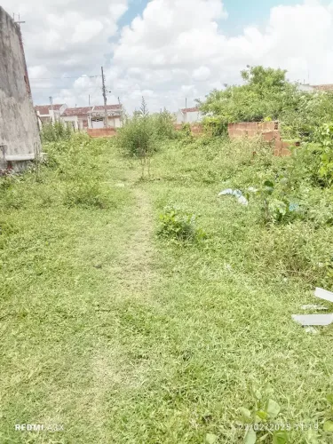 Vendo terreno no Guajará