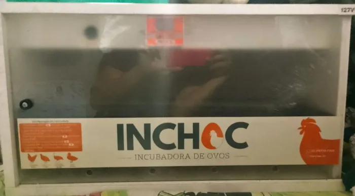 Chocadeira