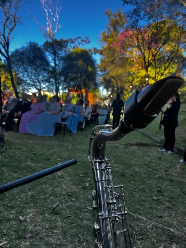 Músico- Saxofonista