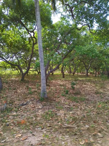 Sitio no Quebra pote 
