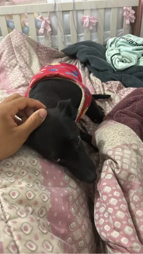 Doação