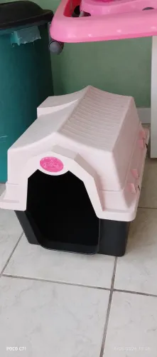 Casinha de cachorro