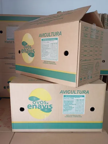 Caixa de Papelão GRANDE 