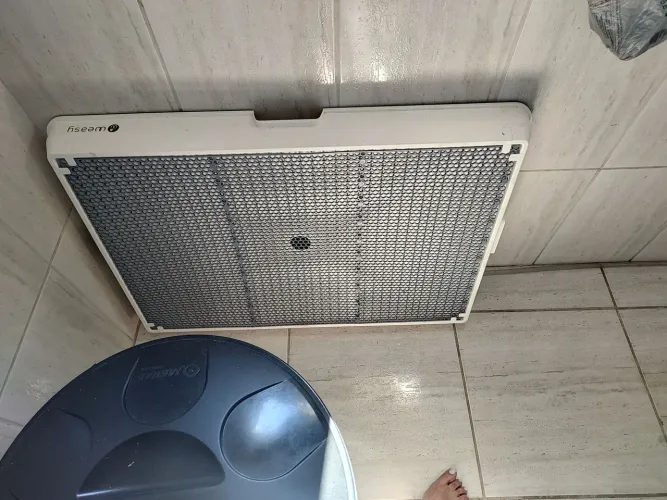 Tapete higiênico para cachorro