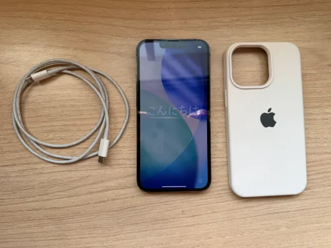 iPhone 13 PRO 