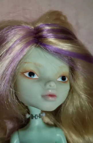 Monster High Frankie Stein passeio no shop<br>Custom Sabrina Foggiatto <br>Perfeita customizada 