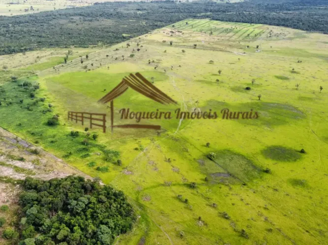 Fazenda com 130 alqueirão à venda no Tocantins