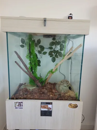 Aquário/Terrario  