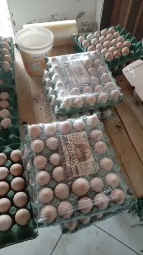 Vendas de ovos caipira