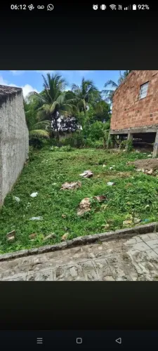 Terreno
