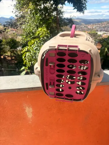 Caixa transporte gato
