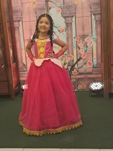 Vestido princesa aurora 