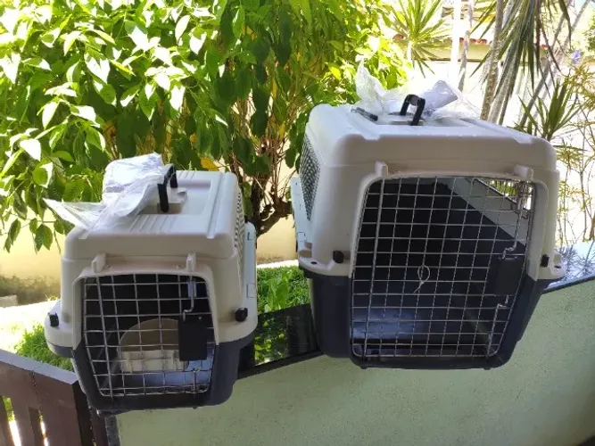 Caixa de Transporte Pet Tamanho P