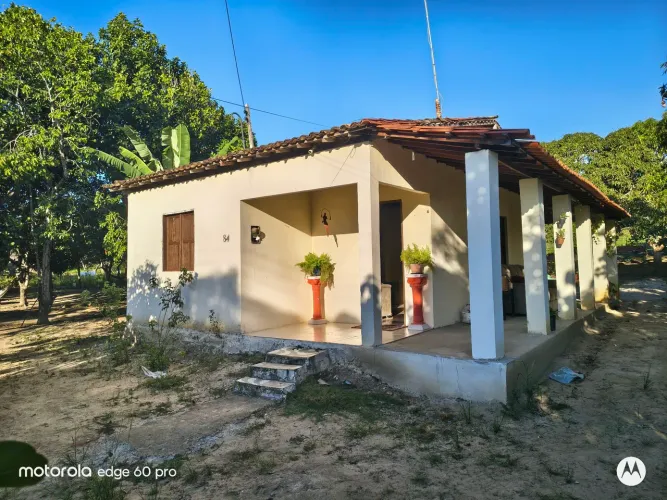 Alugo sítio com casa