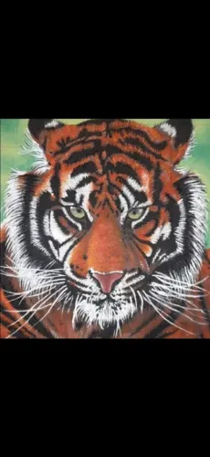 Grafite e Pinturas