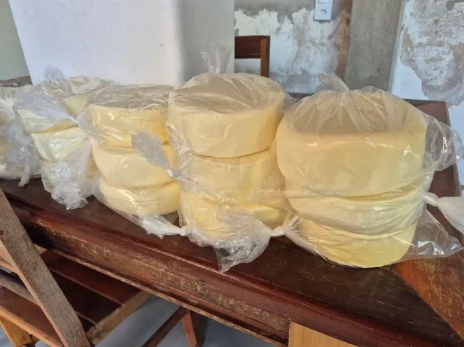 Queijo Minas Fresco