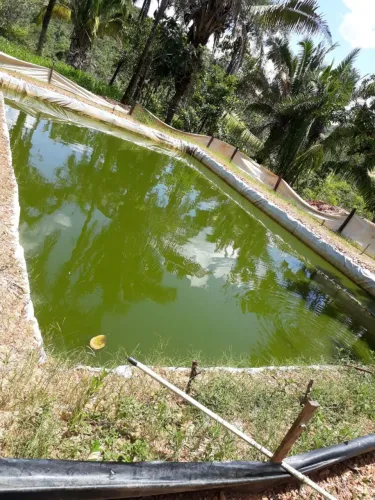 Oportunidade única fazenda em Padre Bernardo 60 alqueires